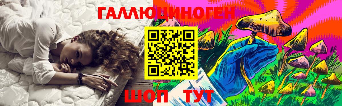 Тверь  Псилоцибиновые грибы Psilocybine cubensis  Вход с VPN 