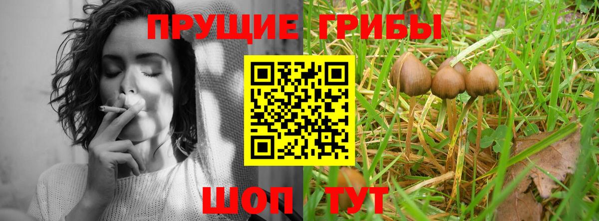 Галлюциногенные грибы Magic Shrooms Тверь
